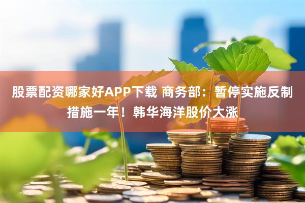 股票配资哪家好APP下载 商务部：暂停实施反制措施一年！韩华海洋股价大涨