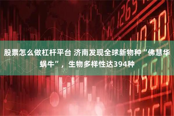 股票怎么做杠杆平台 济南发现全球新物种“佛慧华蜗牛”，生物多样性达394种