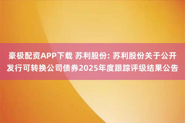 豪极配资APP下载 苏利股份: 苏利股份关于公开发行可转换公司债券2025年度跟踪评级结果公告