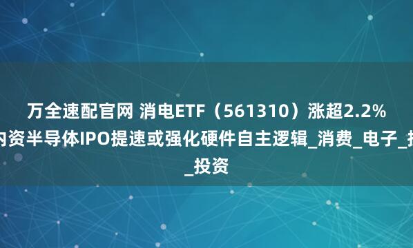 万全速配官网 消电ETF（561310）涨超2.2%，内资半导体IPO提速或强化硬件自主逻辑_消费_电子_投资