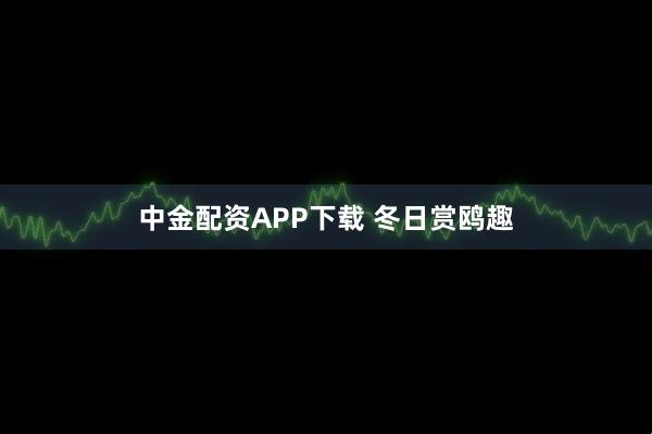 中金配资APP下载 冬日赏鸥趣
